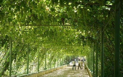 點(diǎn)擊查看源網(wǎng)頁