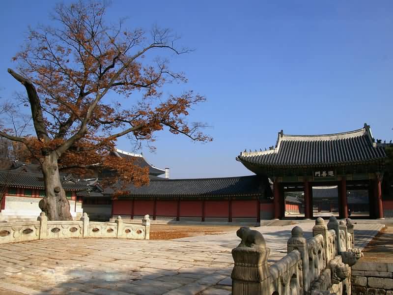 點(diǎn)擊查看源網(wǎng)頁(yè)